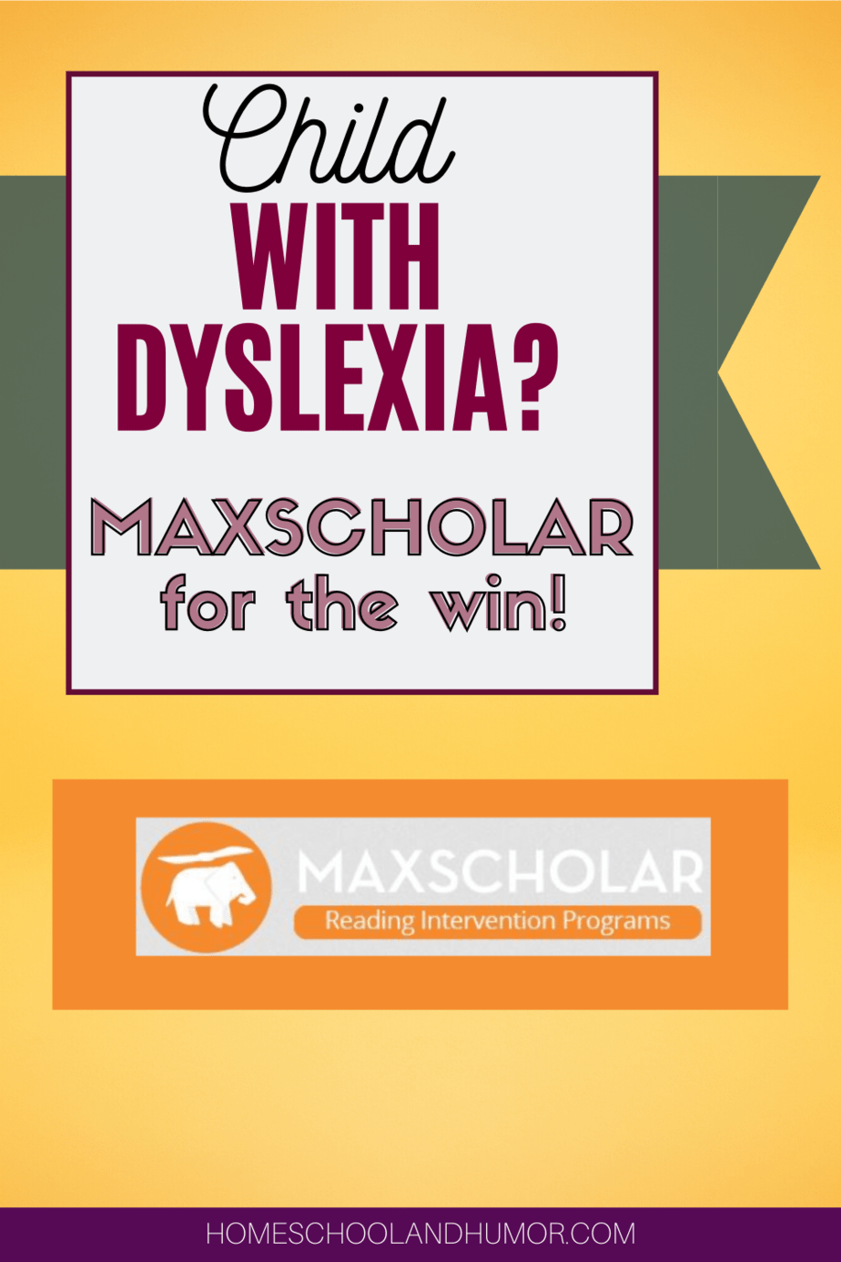 How To Teach Your Struggling Reader To Read Using MaxScholar {Review}