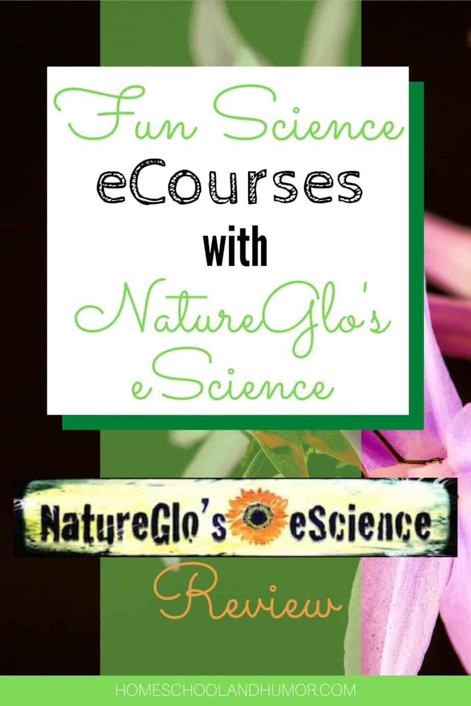 25 Information-Rich Science Courses for Homeschool