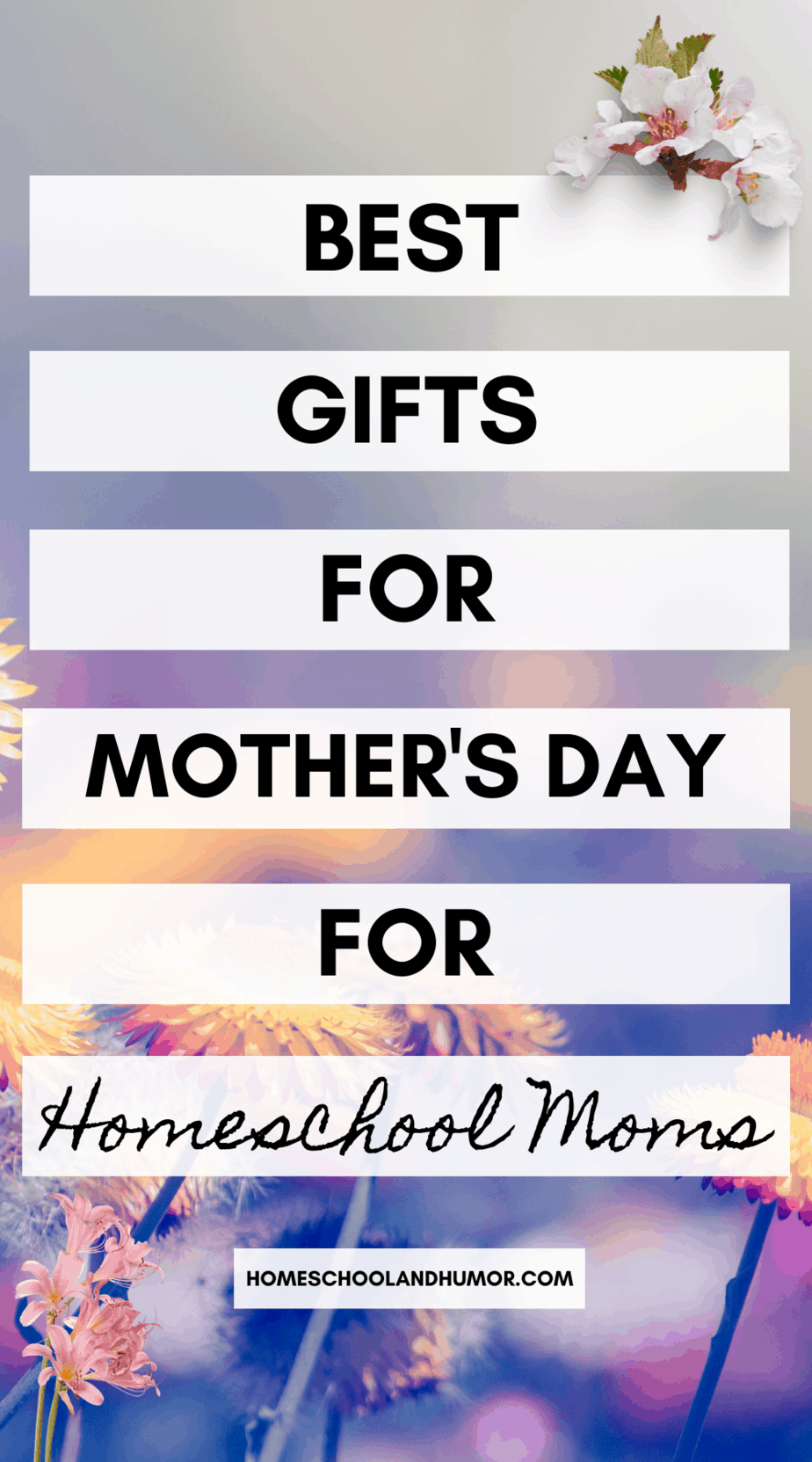 The Best Gifts for Homeschool Moms To Make Her Life Easier (2021)