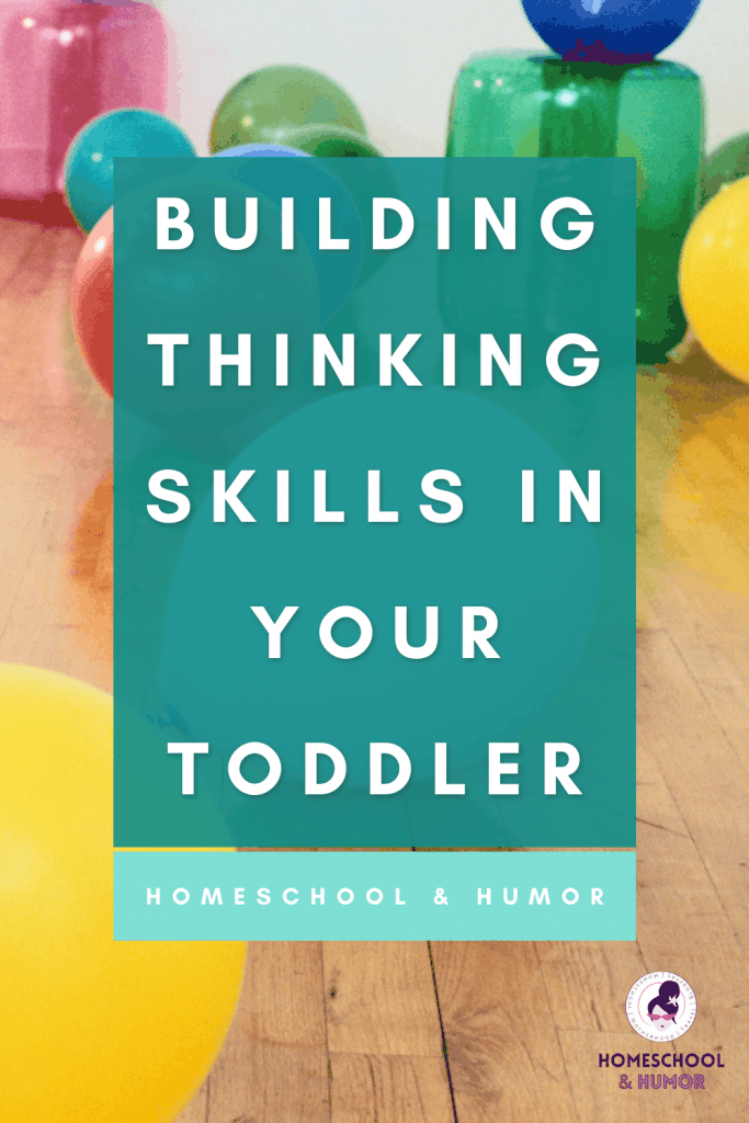 Your toddler already has a brilliant mind, so continue that development through Building Thinking Skills Beginning 2. Learn all about this clever little book and how your tot will benefit using it just like mine did!
