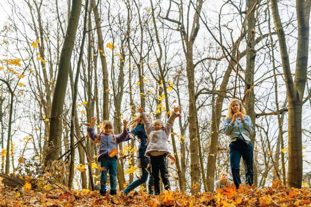 nature exploration activities - people standing on brown tree trunk during daytime