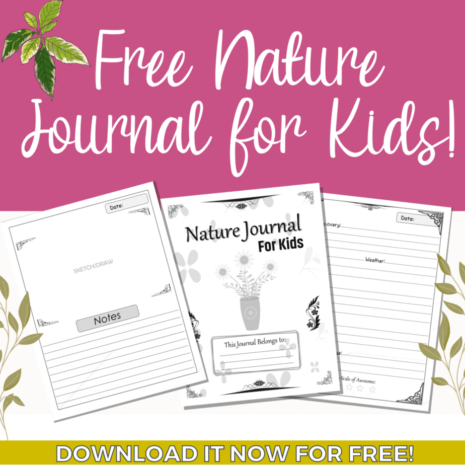 Grab this free nature journal for kids! They'l love going outdoors when they have this!