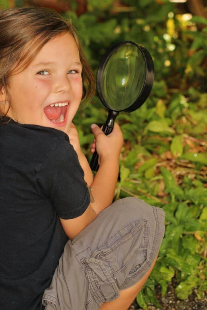 magnifying glass for bugs for nature journal ideas
