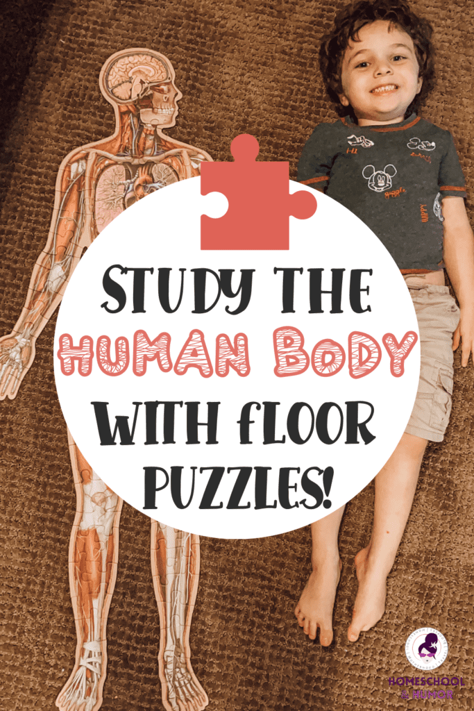 Help kids learn about the organs and systems of the human body with this fun and educational human body puzzle for kids! With 100 different pieces, and 4 foot kids floor puzzles, your kids will be excited about learning science through these floor puzzles for kids! These large floor puzzles will quickly become a family fave - like ours! Check it out here! | Homeschool Science
