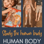 Help kids learn about the organs and systems of the human body with this fun and educational human body puzzle for kids! With 100 different pieces, and 4 foot kids floor puzzles, your kids will be excited about learning science through these floor puzzles for kids! These large floor puzzles will quickly become a family fave - like ours! Check it out here! | Homeschool Science