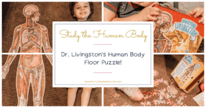human body puzzle featured image