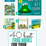 Frogs are so popular with preschoolers and there's no shortage of great frog books for kids to read. From counting frogs to frog story books about frogs in the rain forest to learning about their life cycle, you have 40 frog books for preschool here in this book list that will have your little one hooked on and super intrigued about frogs. Check out this list of 40 frog books for preschoolers and while you're at it, download the free frog life cycle books preschool activity!