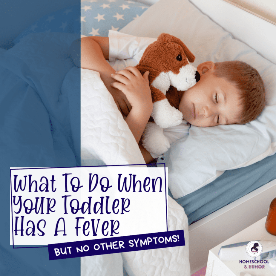 As a parent, nothing is more worrying than seeing your toddler with a fever and not knowing the cause. Fortunately, fever is one of the body's ways of fighting germs and is often harmless. If your toddler has a fever but no other symptoms, there are some ways to help ease the temperature and make him or her more comfortable. Read more for toddler fever remedies and tips on how to help ease your toddler's fever when no other symptoms are present.